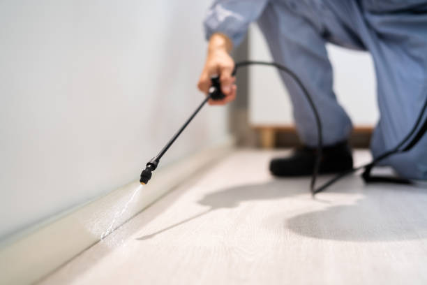 Licensed Termite Control service in New Stanton, PA - Show Me Pest Control