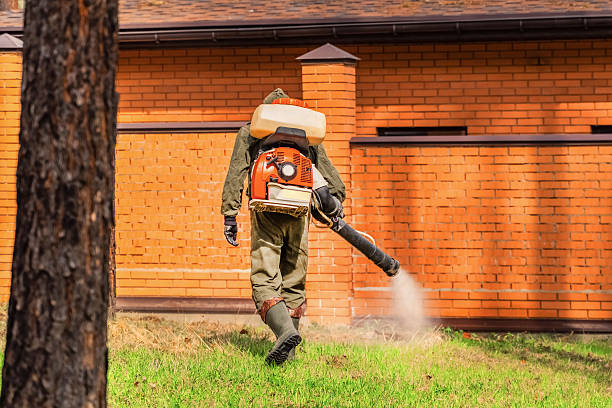 Bed Bug Clearance Verification and Documentation in New Stanton
